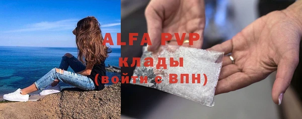 стаф Бородино