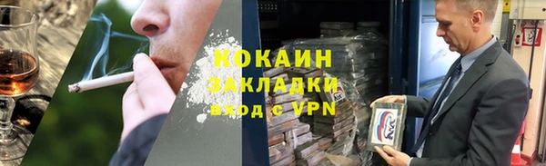 стаф Бородино