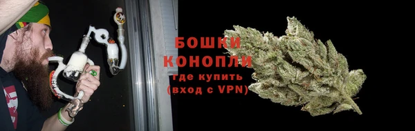 стаф Бородино