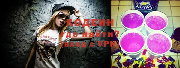 стаф Бородино
