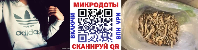 Галлюциногенные грибы MAGIC MUSHROOMS площадка формула Ставрополь
